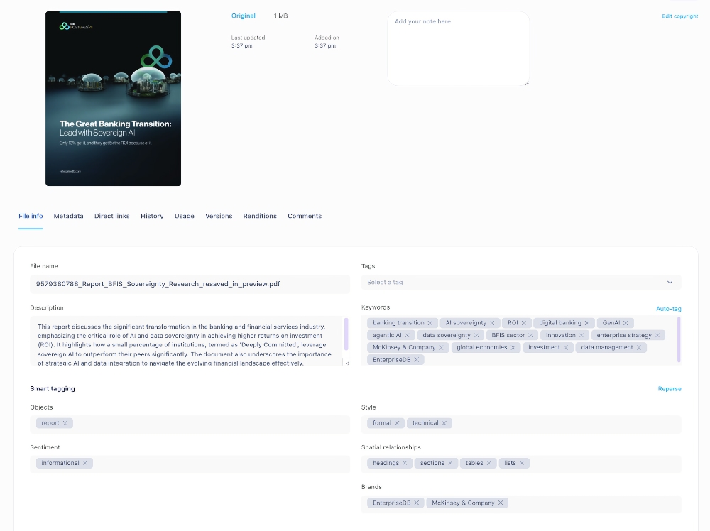 Razuna screenshot showing how the Advanced AI works for documents